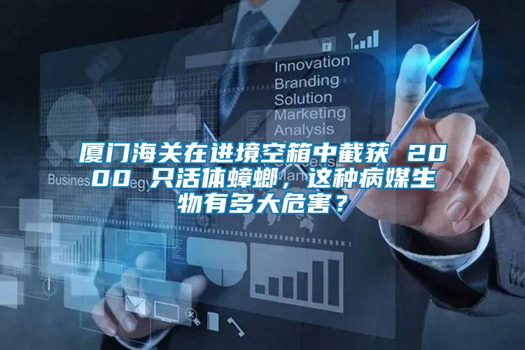 廈門海關(guān)在進境空箱中截獲 2000 只活體蟑螂，這種病媒生物有多大危害？
