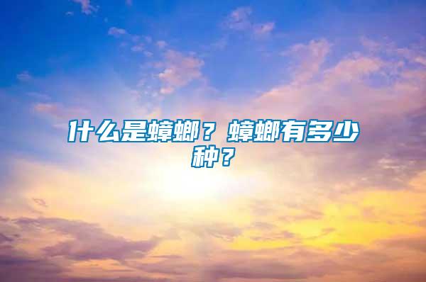 什么是蟑螂？蟑螂有多少種？