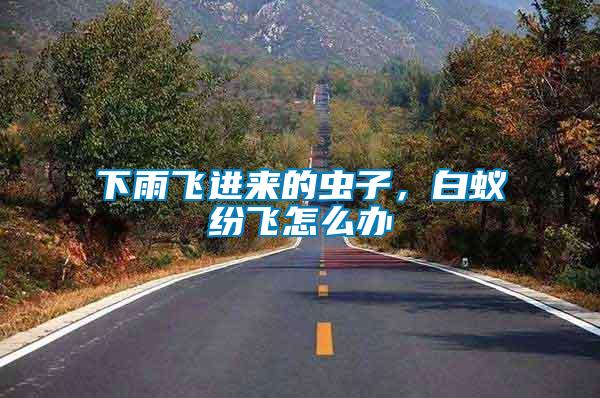 下雨飛進來的蟲子，白蟻紛飛怎么辦