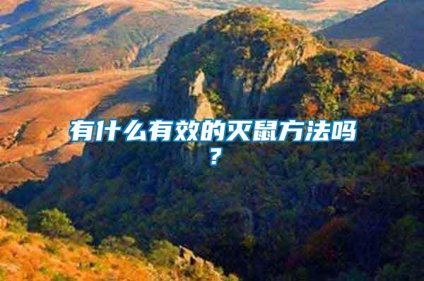 有什么有效的滅鼠方法嗎？