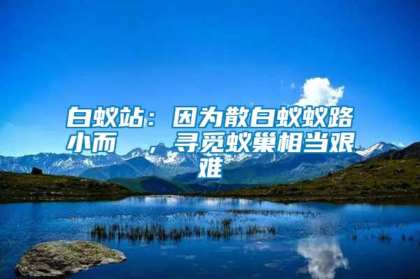 白蟻站：因為散白蟻蟻路小而骫骳，尋覓蟻巢相當(dāng)艱難