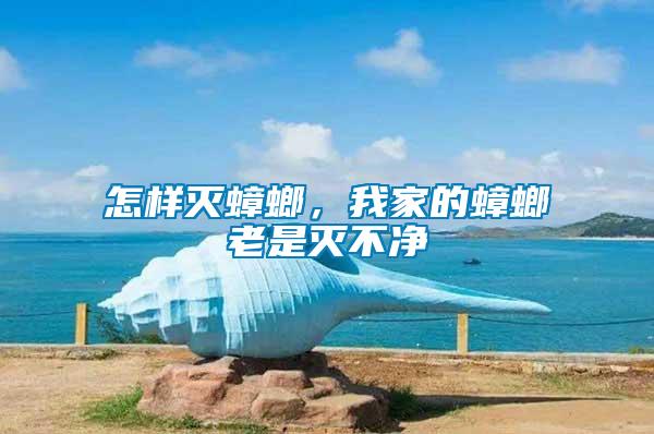 怎樣滅蟑螂，我家的蟑螂老是滅不凈