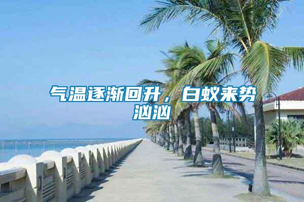 氣溫逐漸回升，白蟻來勢洶洶