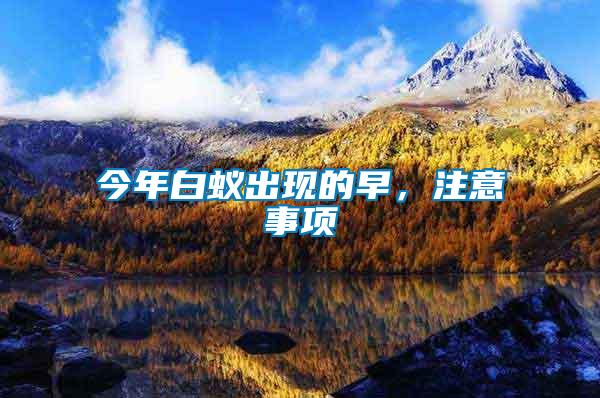 今年白蟻出現(xiàn)的早，注意事項