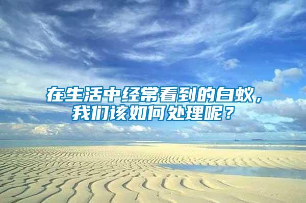 在生活中經常看到的白蟻，我們該如何處理呢？