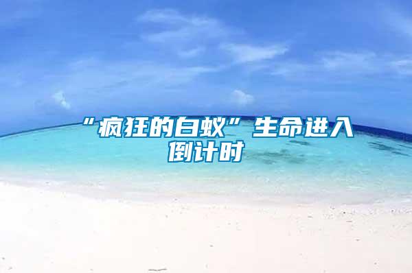 “瘋狂的白蟻”生命進(jìn)入倒計(jì)時