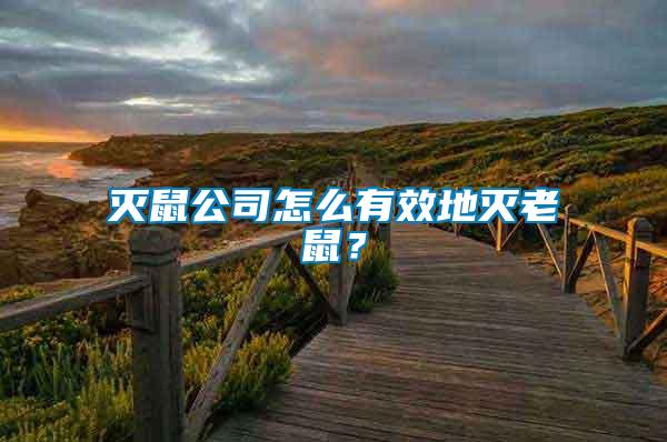 滅鼠公司怎么有效地滅老鼠？