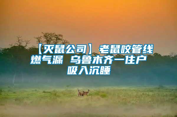 【滅鼠公司】老鼠咬管線燃?xì)饴?烏魯木齊一住戶(hù)吸入沉睡
