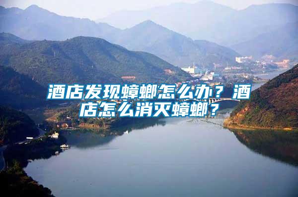 酒店發(fā)現蟑螂怎么辦？酒店怎么消滅蟑螂？