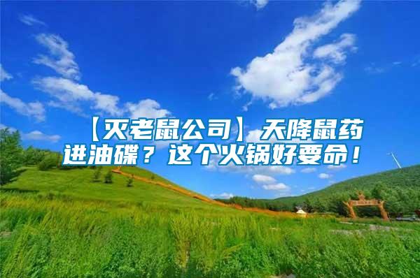 【滅老鼠公司】天降鼠藥進油碟？這個火鍋好要命！