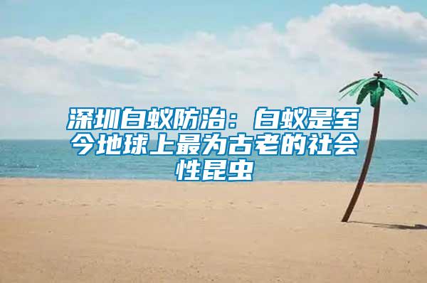 深圳白蟻防治：白蟻是至今地球上最為古老的社會(huì)性昆蟲(chóng)