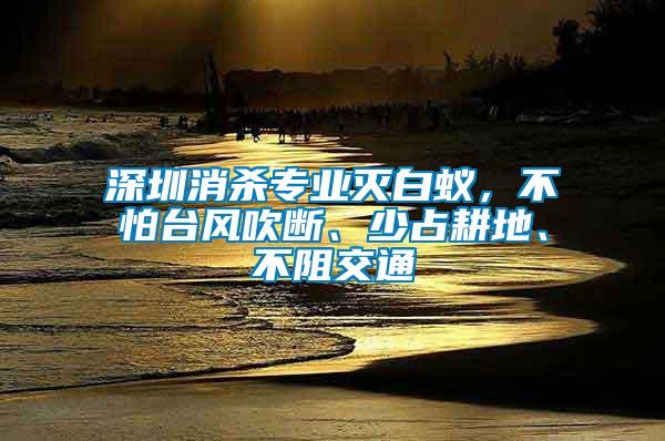 深圳消殺專業滅白蟻，不怕臺風吹斷、少占耕地、不阻交通