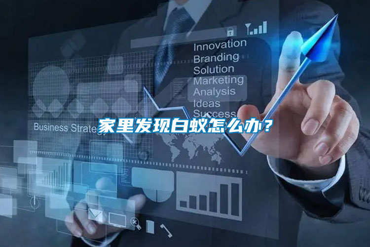 家里發(fā)現(xiàn)白蟻怎么辦？