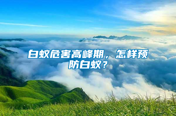 白蟻危害高峰期，怎樣預(yù)防白蟻？