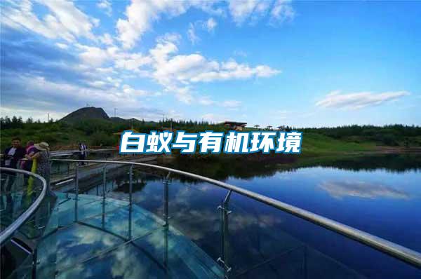 白蟻與有機環境