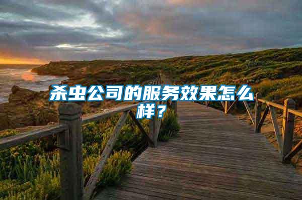 殺蟲公司的服務效果怎么樣？