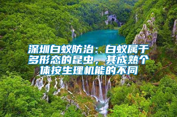 深圳白蟻防治：白蟻屬于多形態(tài)的昆蟲，其成熟個體按生理機能的不同