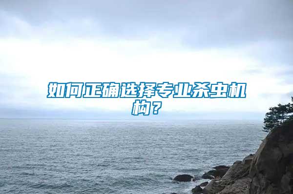 如何正確選擇專業殺蟲機構？