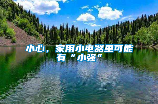 小心，家用小電器里可能有“小強”