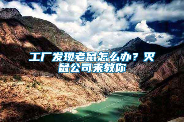 工廠發現老鼠怎么辦？滅鼠公司來教你