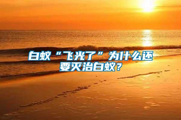白蟻“飛光了”為什么還要滅治白蟻？