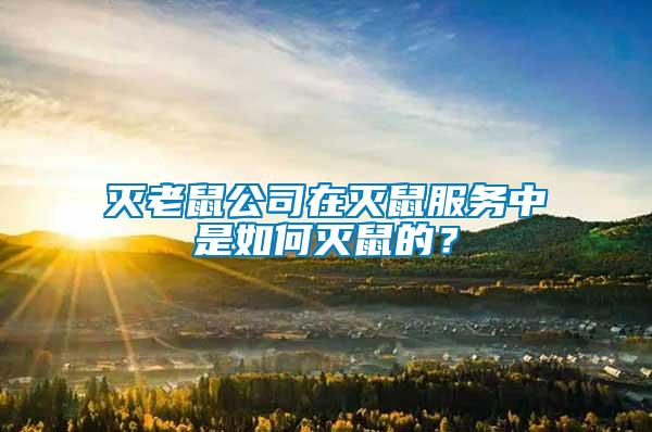 滅老鼠公司在滅鼠服務(wù)中是如何滅鼠的？