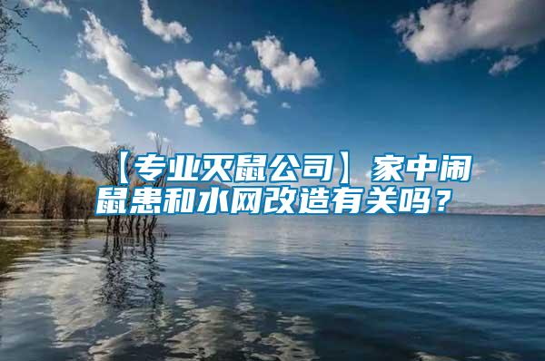 【專業(yè)滅鼠公司】家中鬧鼠患和水網(wǎng)改造有關嗎？