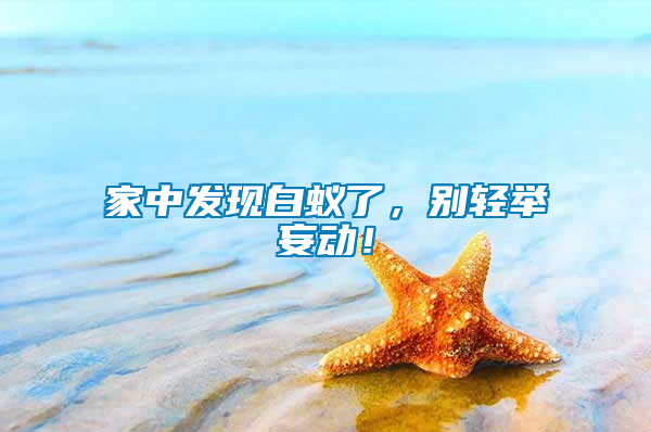 家中發(fā)現(xiàn)白蟻了，別輕舉妄動！