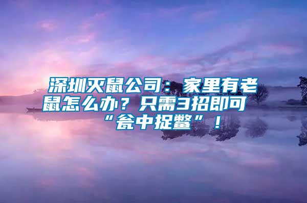 深圳滅鼠公司：家里有老鼠怎么辦？只需3招即可“甕中捉鱉”！