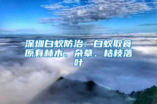 深圳白蟻防治：白蟻取食原有林木、雜草、枯枝落葉