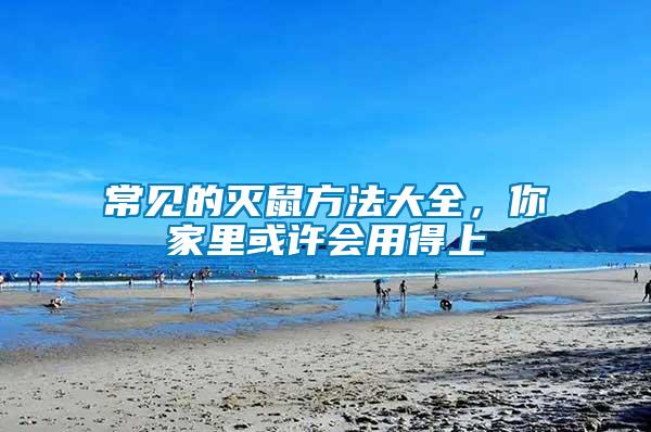 常見的滅鼠方法大全，你家里或許會用得上