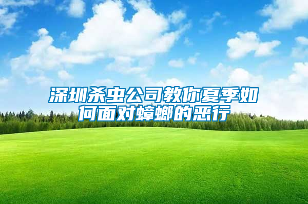 深圳殺蟲公司教你夏季如何面對(duì)蟑螂的惡行