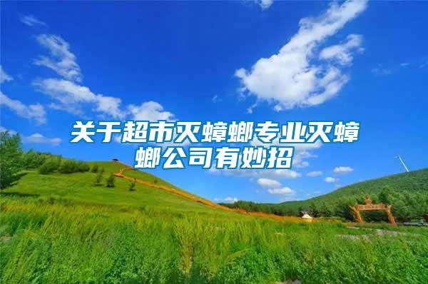 關于超市滅蟑螂專業(yè)滅蟑螂公司有妙招