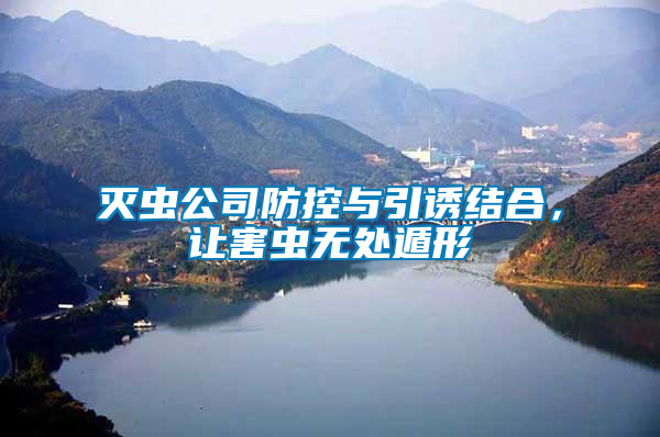 滅蟲公司防控與引誘結合，讓害蟲無處遁形