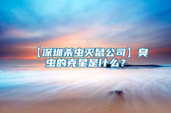 【深圳殺蟲滅鼠公司】臭蟲的克星是什么？