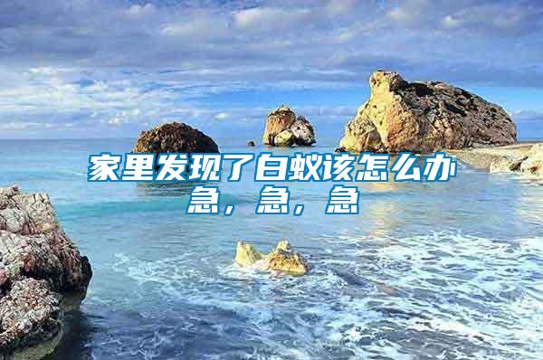 家里發(fā)現(xiàn)了白蟻該怎么辦急，急，急