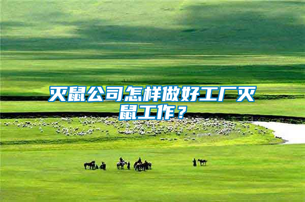 滅鼠公司怎樣做好工廠滅鼠工作？