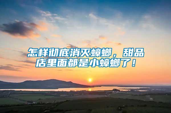 怎樣徹底消滅蟑螂，甜品店里面都是小蟑螂了！