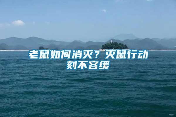 老鼠如何消滅？滅鼠行動刻不容緩