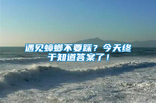 遇見蟑螂不要踩？今天終于知道答案了！