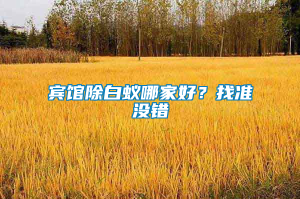 賓館除白蟻哪家好？找準沒錯