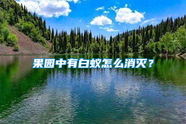 果園中有白蟻怎么消滅？