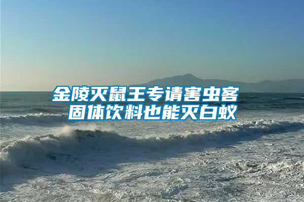 金陵滅鼠王專請(qǐng)害蟲(chóng)客 固體飲料也能滅白蟻