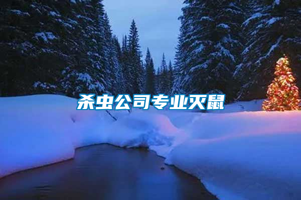 殺蟲(chóng)公司專(zhuān)業(yè)滅鼠