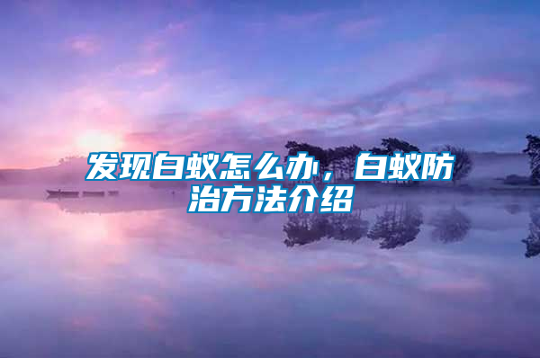 發(fā)現(xiàn)白蟻怎么辦，白蟻防治方法介紹