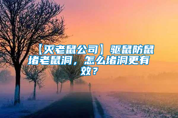 【滅老鼠公司】驅鼠防鼠堵老鼠洞，怎么堵洞更有效？