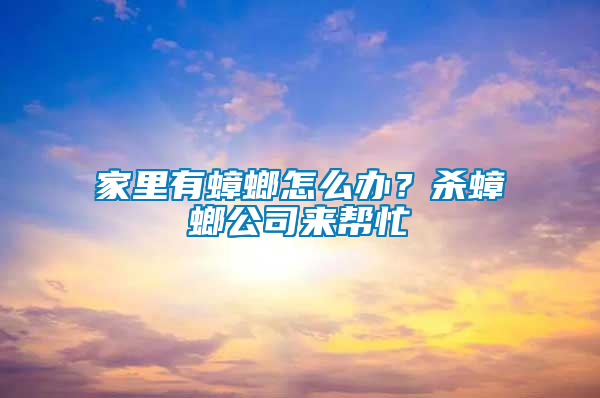 家里有蟑螂怎么辦？殺蟑螂公司來幫忙