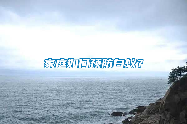 家庭如何預防白蟻？