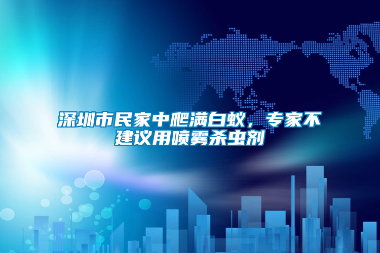 深圳市民家中爬滿白蟻，專家不建議用噴霧殺蟲劑