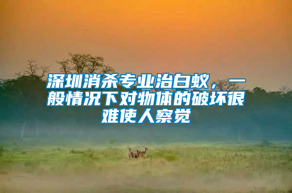 深圳消殺專業治白蟻，一般情況下對物體的破壞很難使人察覺